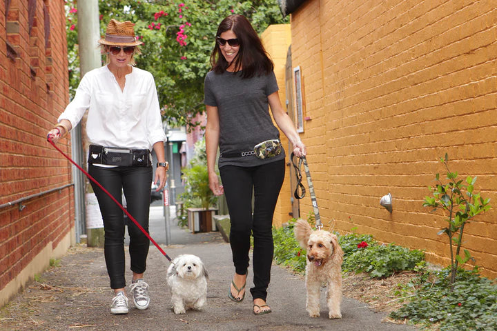 DOOG Belt Walkie Bag