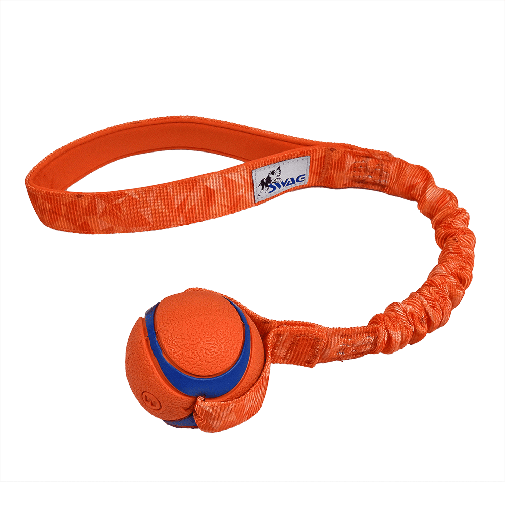 Chuckit Ultra Ball