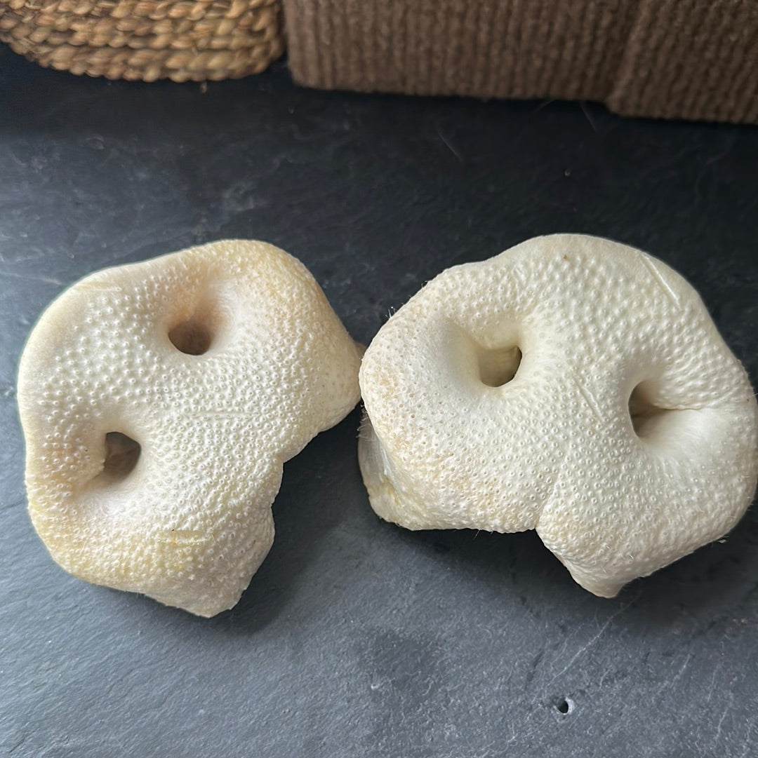 Puffed Pigs Snout Dog Treat