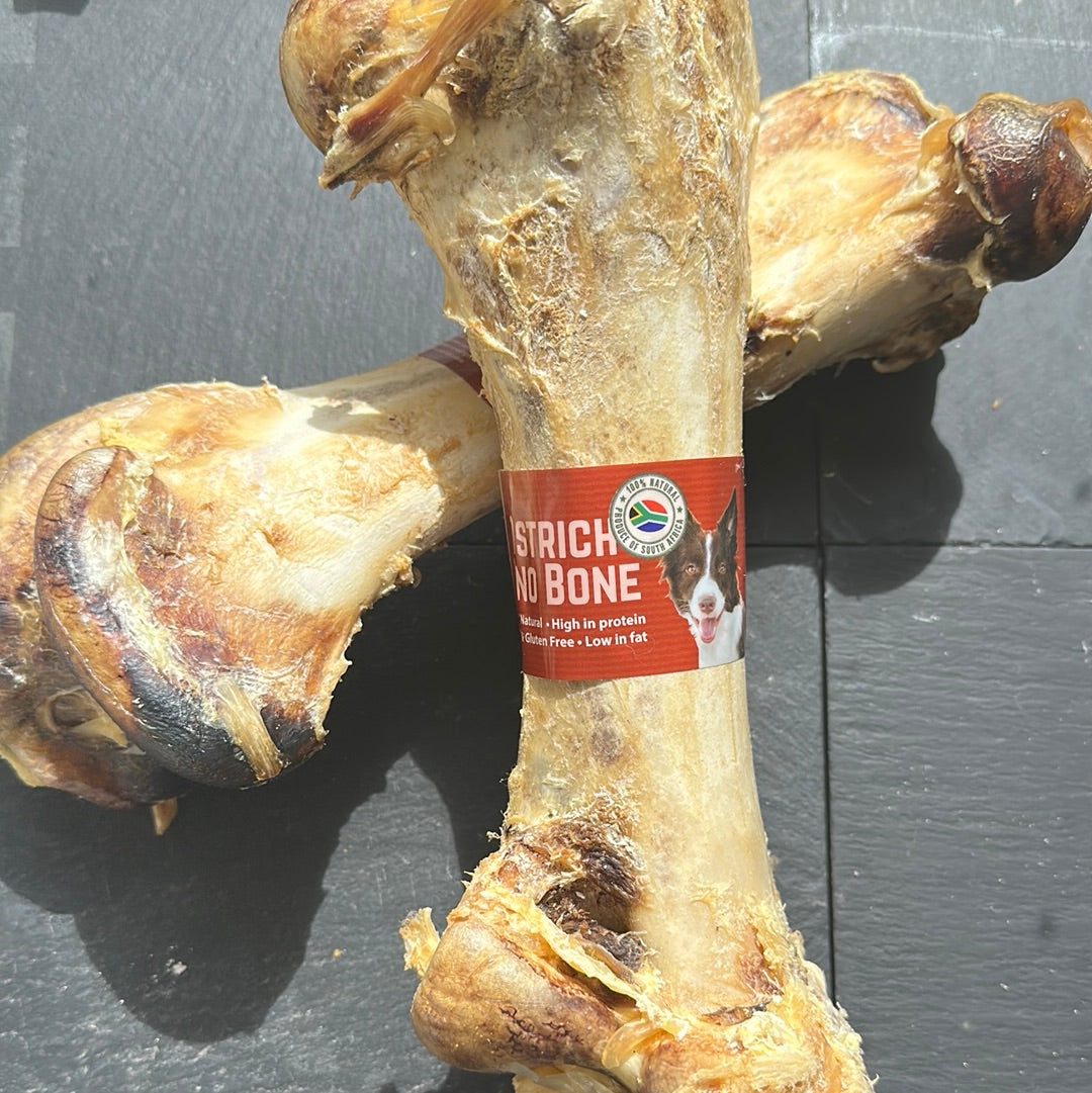 Ostrich Dino Bone Dog Treat