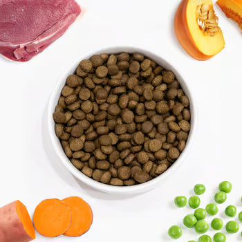 Arden Grange VetCare Gastrointestinal Duck with Sweet Potato