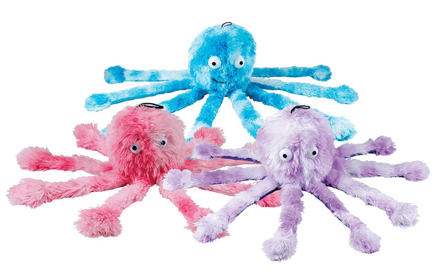 Gor Reef Mummy Octopus