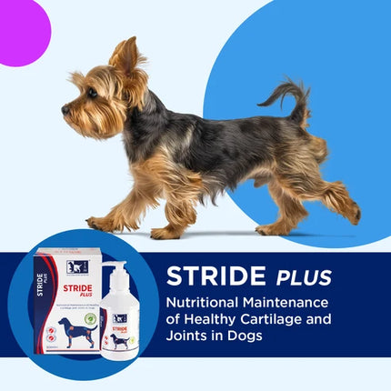 TRM Stride Plus 200ml