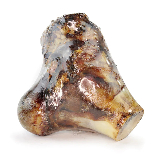 Beef Knuckle Bone