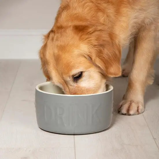 Scruffs Classic Water Bowl 20cm