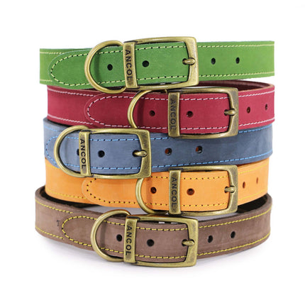 Ancol Timberwold Leather Collar