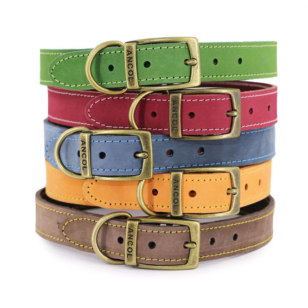 Ancol Timberwold Leather Collar