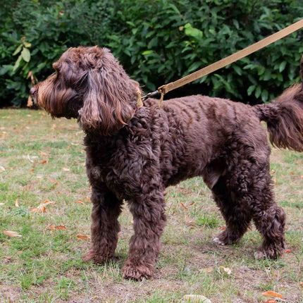 Timberwolf Leather Lead