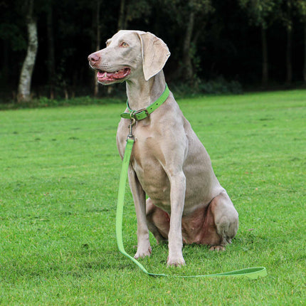 Timberwolf Leather Lead