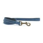 Blue / 100cm x 19mm