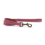 Raspberry / 100cm x 19mm