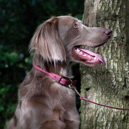 Timberwolf Round Collar