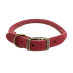 Raspberry / 3 (28-36cm)