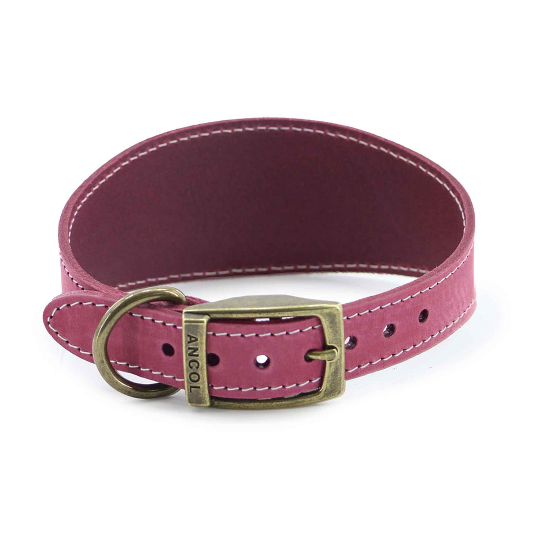 Timberwolf Whippet Leather Collar