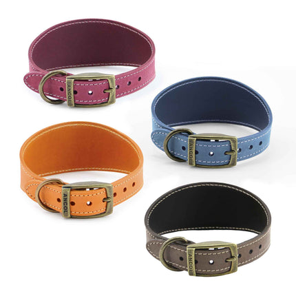 Timberwolf Greyhound Collar