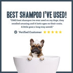 Herbal Dog Raspberry & Vanilla Dog Dry Shampoo