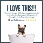 Herbal Dog Coconut Dog Shampoo