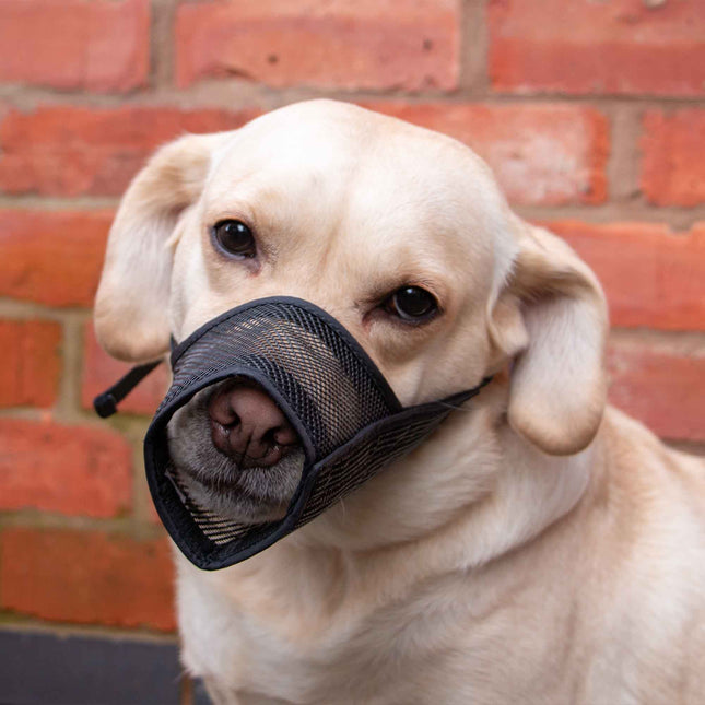Ancol Mesh Muzzle