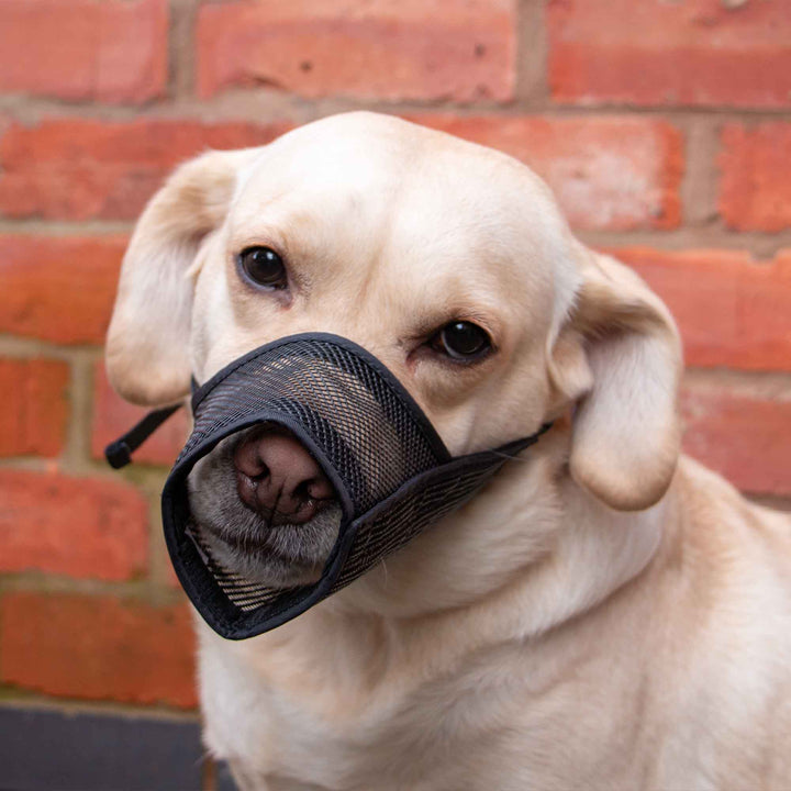 Ancol Mesh Muzzle