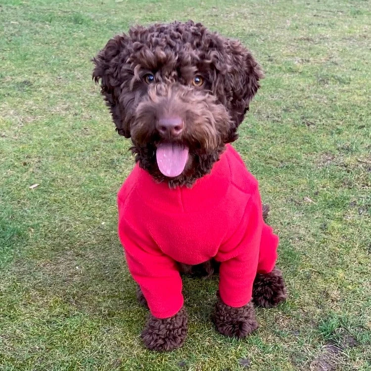 Pawsome Suits 4 Leg Fleece Dog Suit