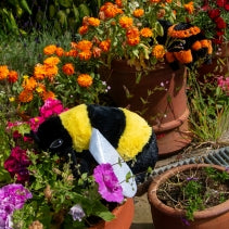 Cuddly Critterz - Bumblebee