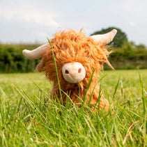 Ancol Fergus Highland Cow
