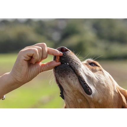 Natures Deli Chicken & Cheese Training Bites 100g