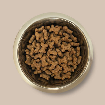 Pointer Peanut Butter Bones