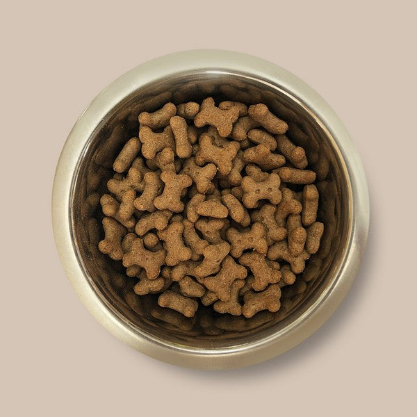 Pointer Peanut Butter Bones