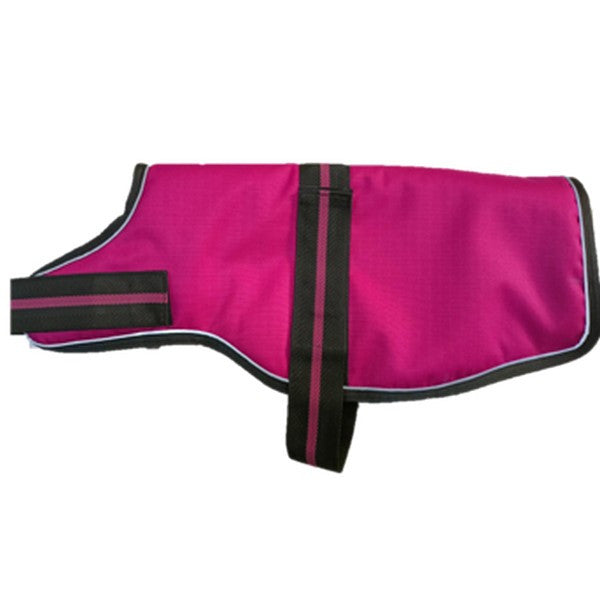 Animate Dachshund Padded Raspberry Dog Coat with adjustable belly strap