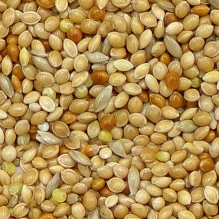 Marriages Budgie Food 1kg