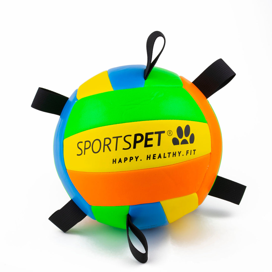 SportsPet Tab Volleyball Size 4