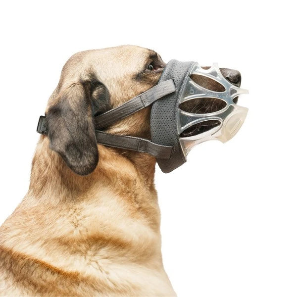 Company Of Animals Baskerville Invisa Muzzle