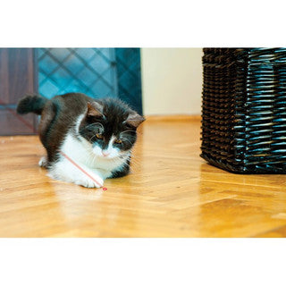 KONG Cat Laser Pointer