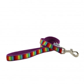 Ancol Soho Rainbow Lead