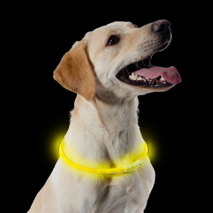 Ancol Night Safety - USB Flashing Band