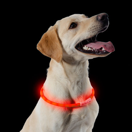 Ancol Night Safety - USB Flashing Band