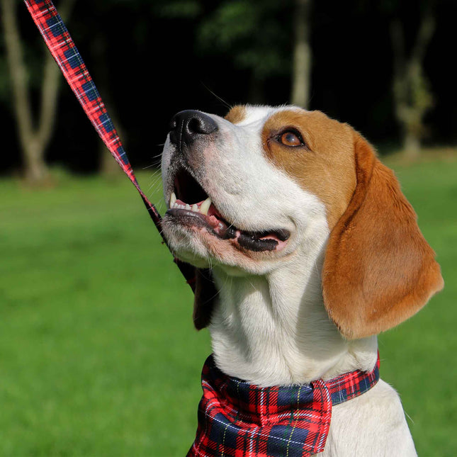 The Soho Collection - Tartan Lead