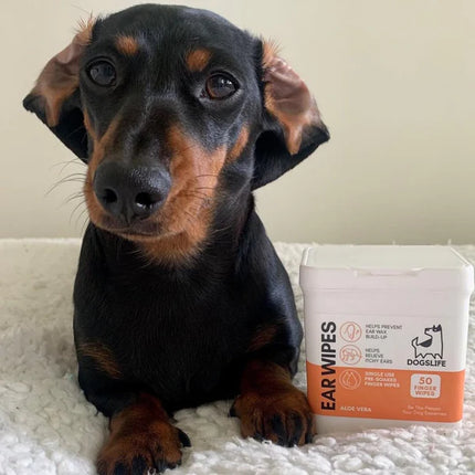 DogsLife Dog Ear Wipes