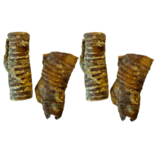 Buffalo Trachea