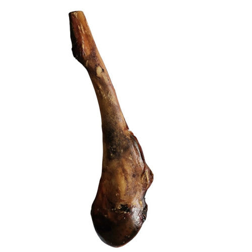 Ostrich Drumstick x 5