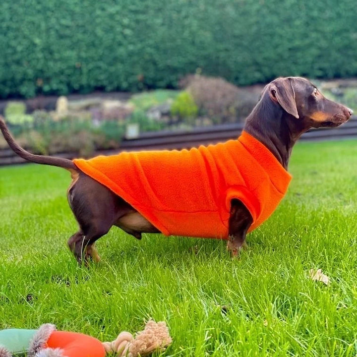 Pawsome Suits Dachshund Fleece