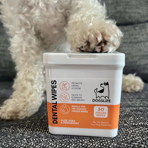 DogsLife Dog Dental Wipes
