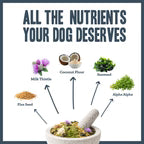 Herbal Dog Herbacare Immune