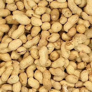 Peanuts in Shells