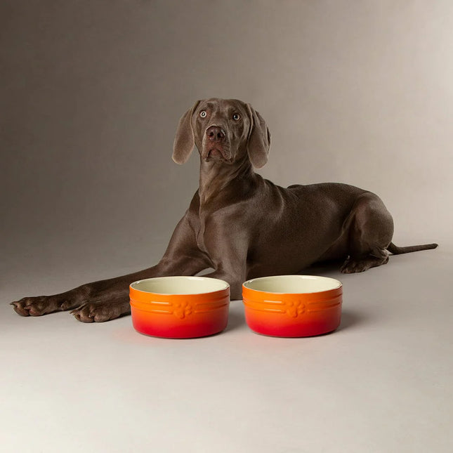 Scruffs Ombre Bowl