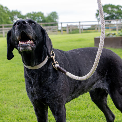 Heritage Rope Lead Cotton