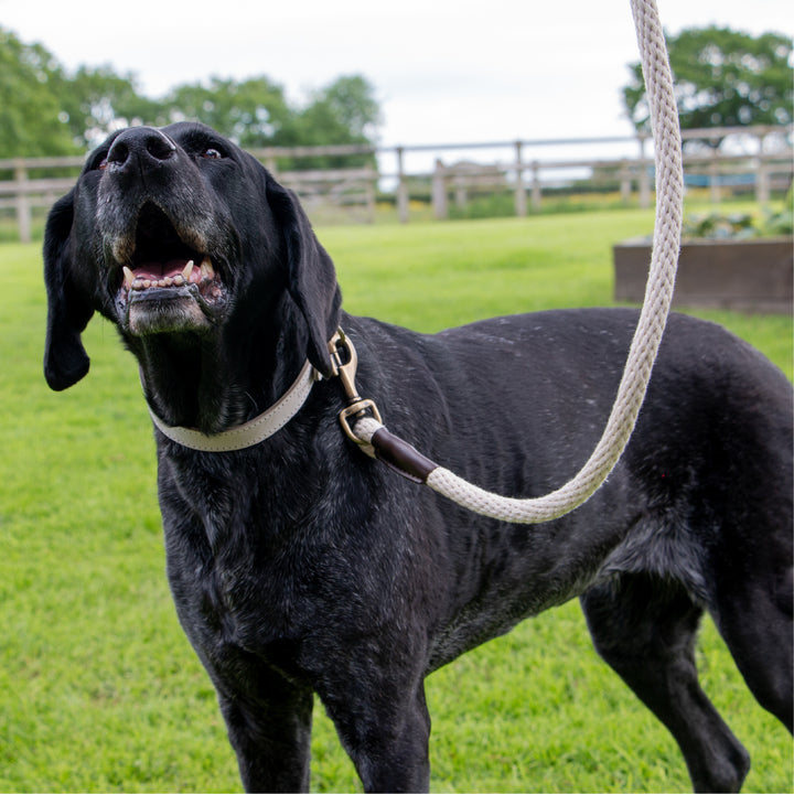 Heritage Rope Lead Cotton