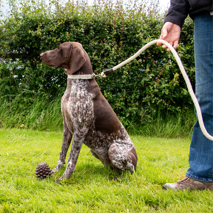 Heritage Rope Lead Cotton
