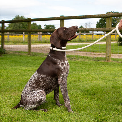 Heritage Rope Lead Cotton